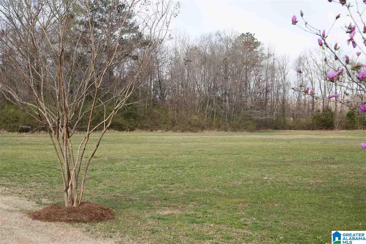 118 Horseshoe Circle Alabaster, AL 35007 - Photo 19 of 21