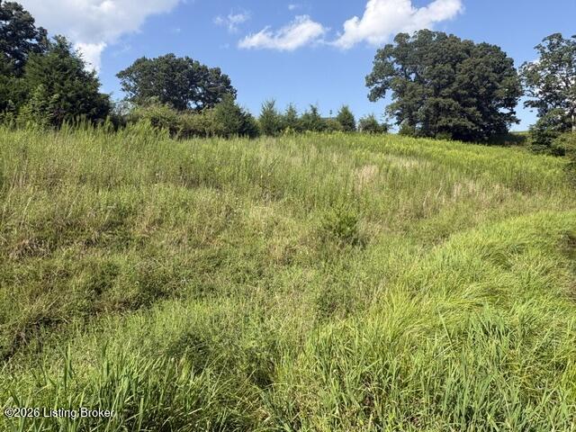 1390 Timber Creek Road Bloomfield, KY 40008 - Photo 8 of 12 IMG_4373