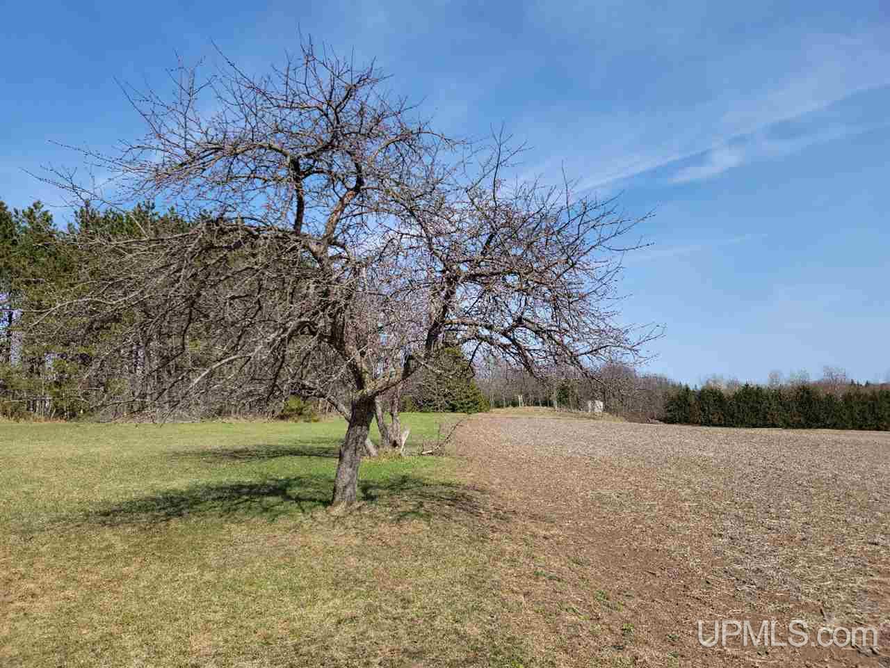 10987 West Co Road Manistique, MI 49854 - Photo 22 of 23
