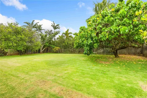 a view of a yard with a trees