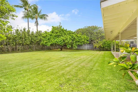 a view of a yard with palm trees