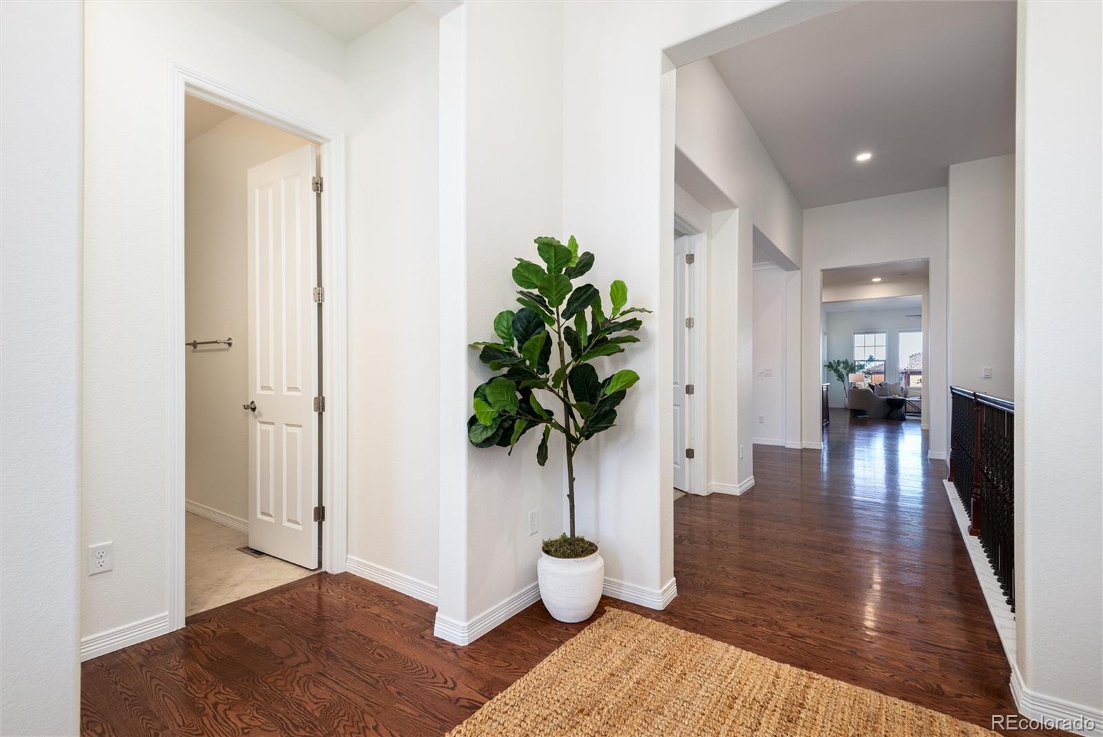 10698 Mountaingate Court Highlands Ranch, CO 80126 - Photo 3 of 47 a view of a hallway with wooden floor and a potted plant