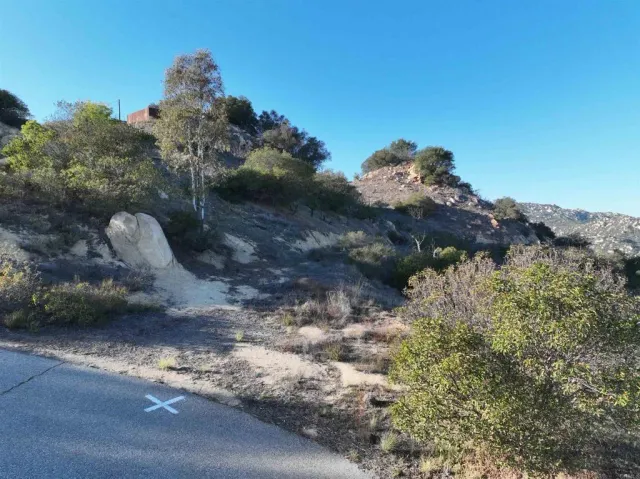 a view of a lake with a forest