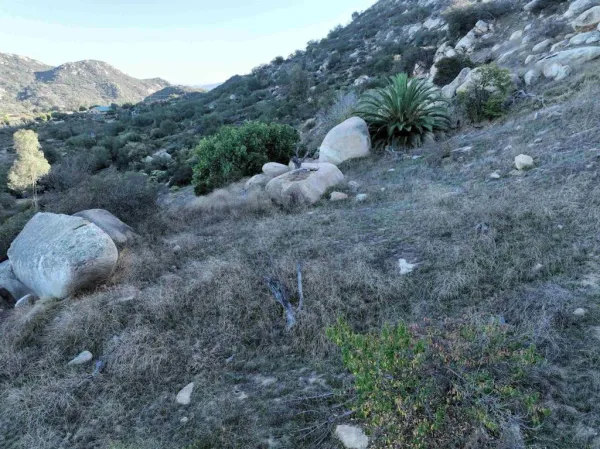 a view of a dry field