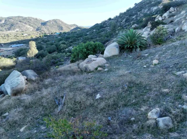 a view of a forest with a mountain and trees