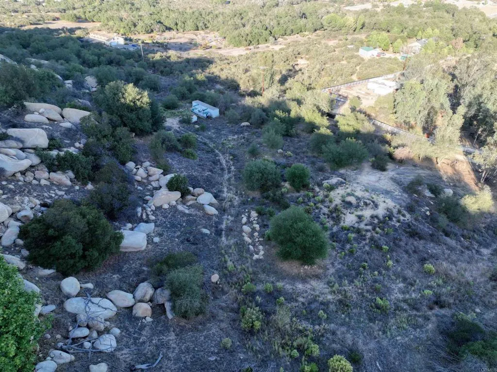 Rainbow Peaks Fallbrook, CA 92028 - Photo 29 of 48 a view of a yard with a tree