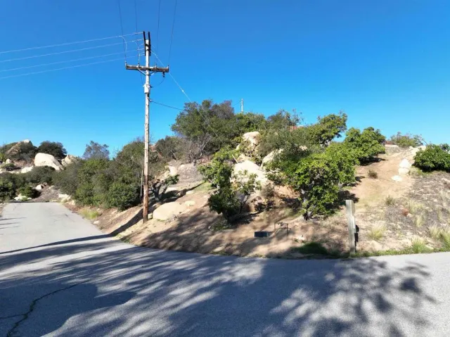 a view of a yard with a tree