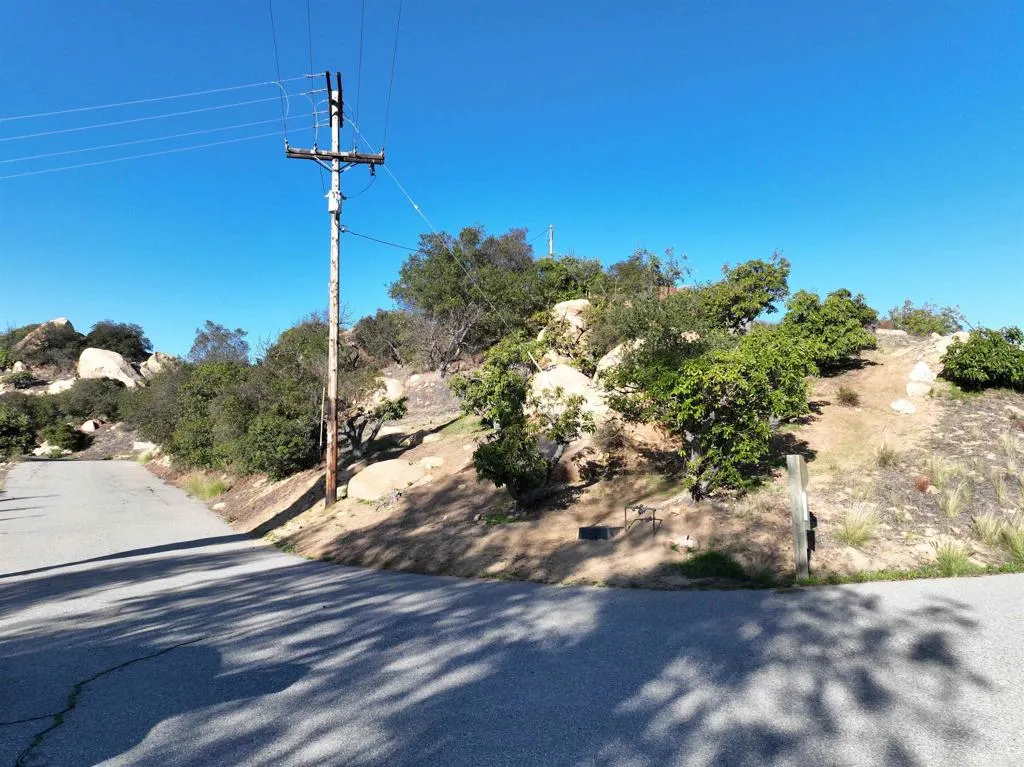 Rainbow Peaks Fallbrook, CA 92028 - Photo 3 of 48 a view of a yard with a tree
