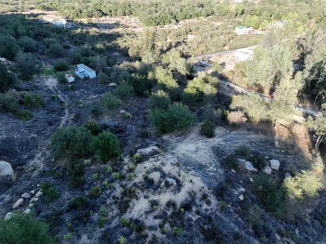 a view of a dry field with lots of trees