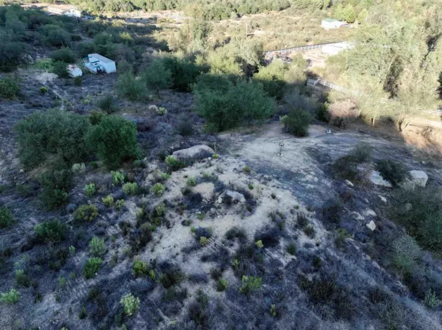a view of a dry yard with trees