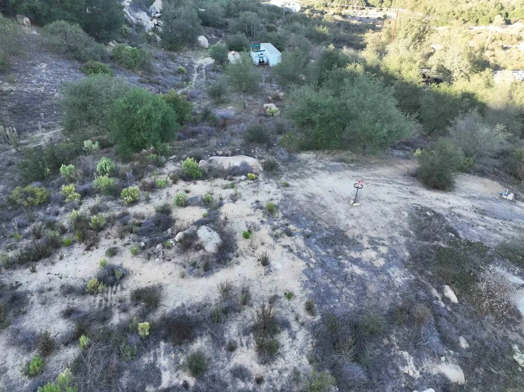 Rainbow Peaks Fallbrook, CA 92028 - Photo 34 of 48 a view of a dry yard with trees