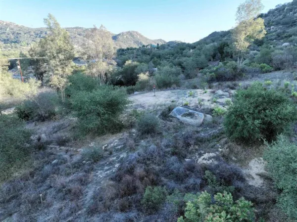 a view of a dry yard