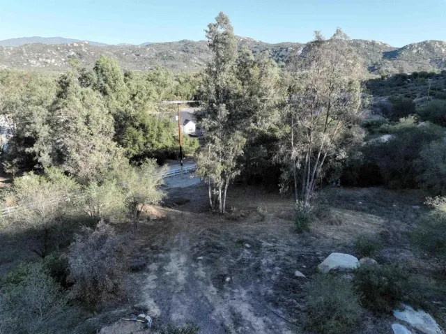 a view of a forest with trees