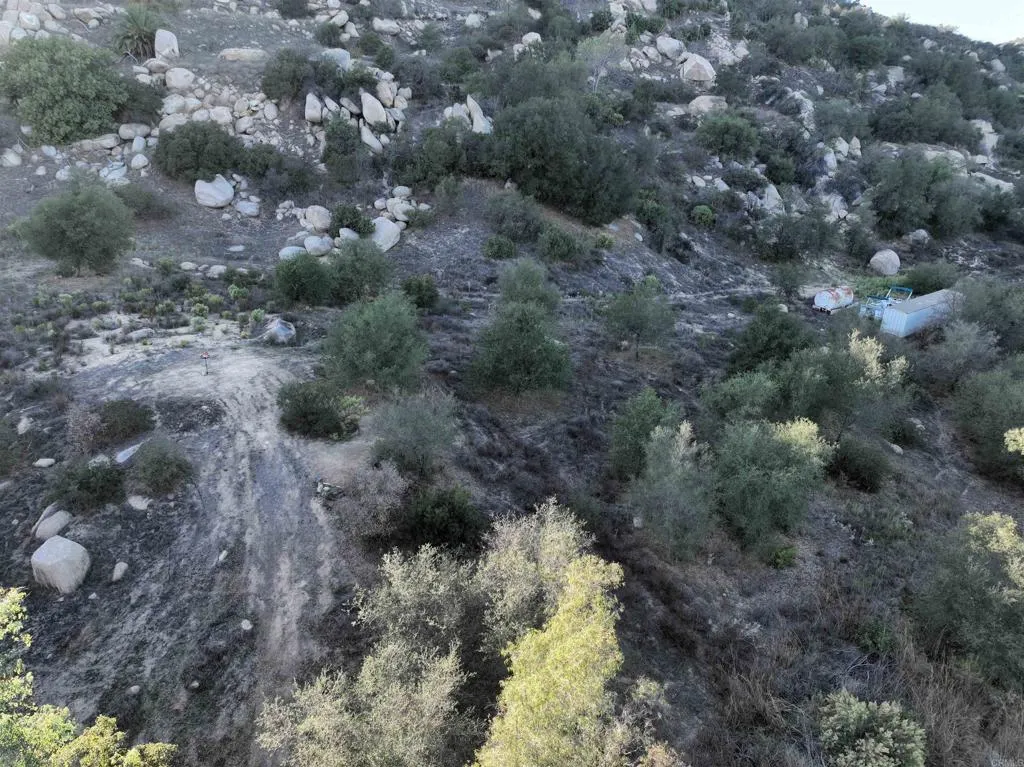 Rainbow Peaks Fallbrook, CA 92028 - Photo 46 of 48 a view of a forest with trees