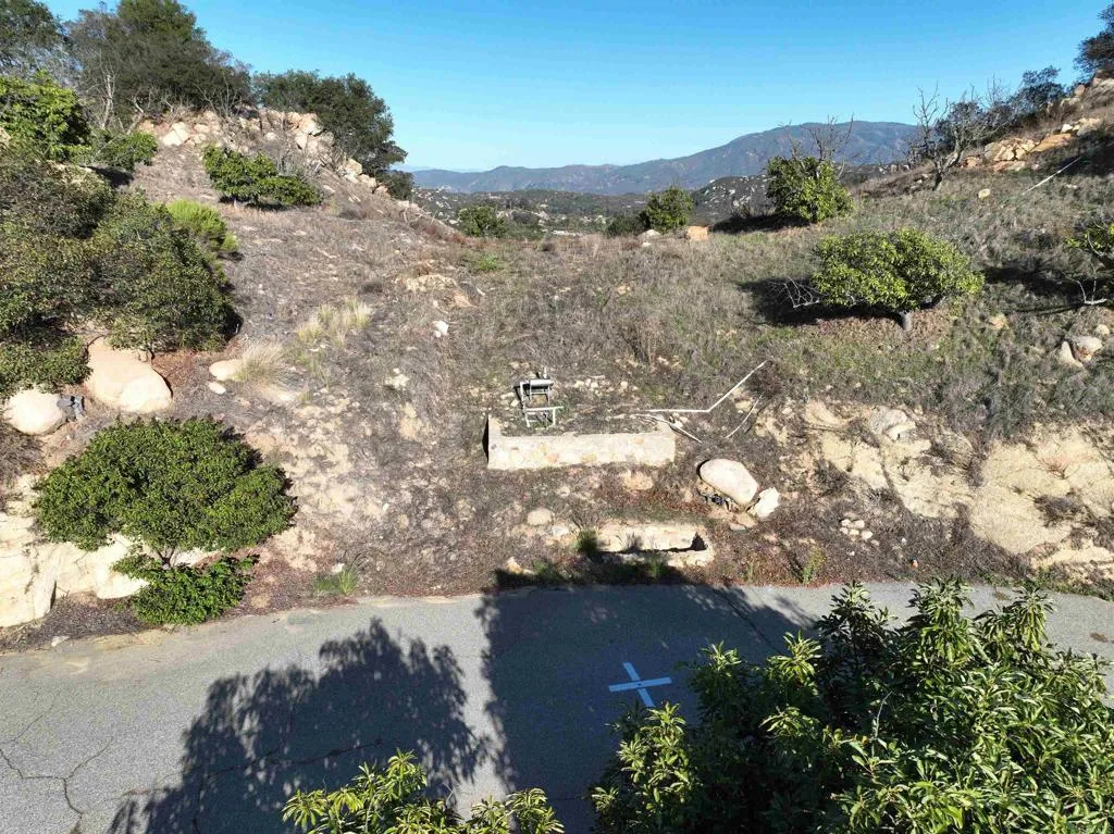 Rainbow Peaks Fallbrook, CA 92028 - Photo 6 of 48 a view of a tree with a yard