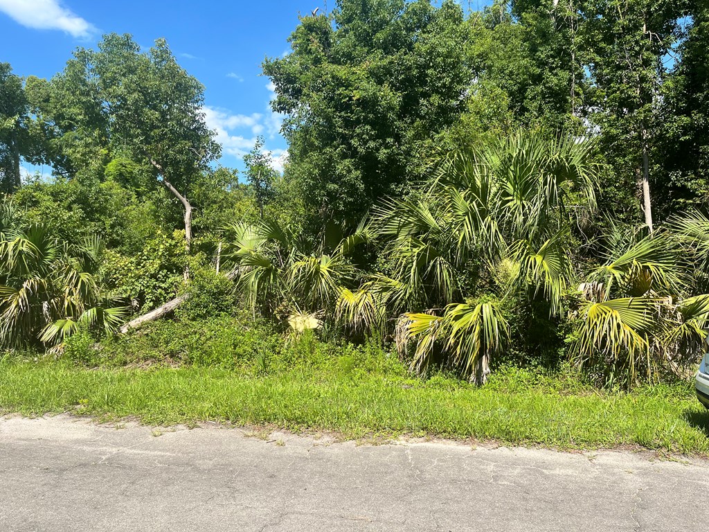 0 Faulkner Street Perry, FL 32347 - Photo 6 of 6