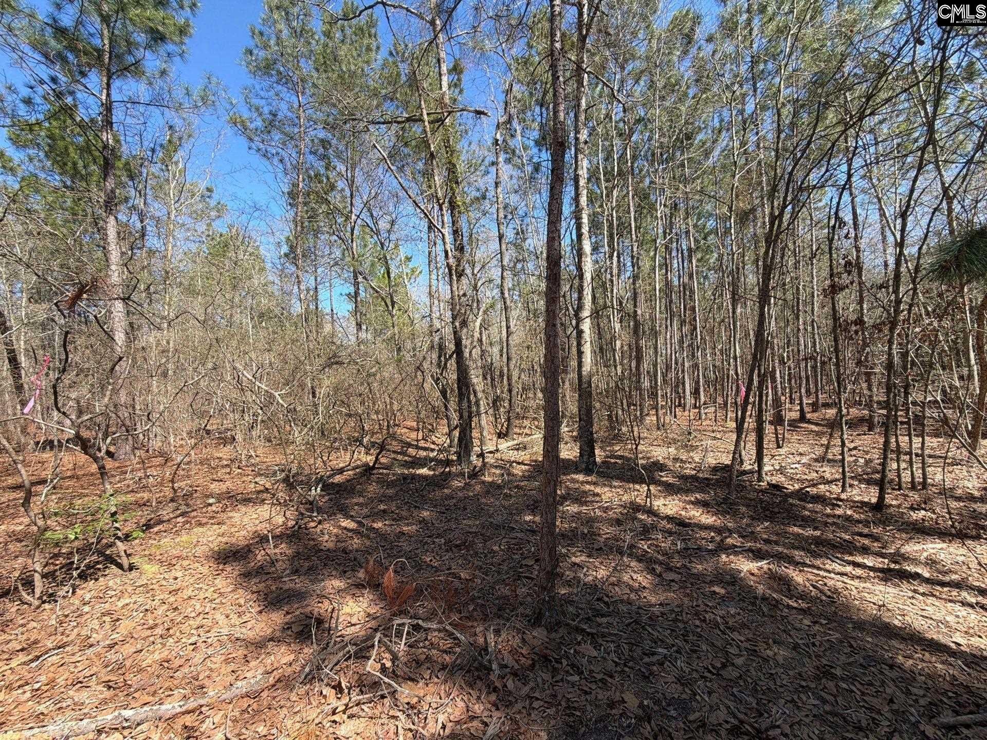 13 Boise Cascade Road, Unit BHL 13 Bethune, SC 29009 - Photo 4 of 31