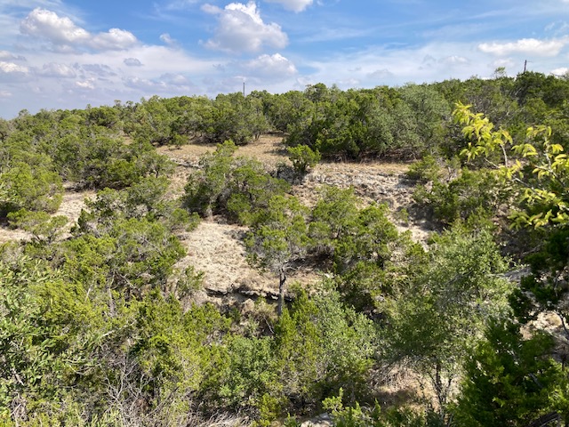 1970 Martin Road Dripping Springs, TX 78620 - Photo 24 of 40 Gallery Image 24