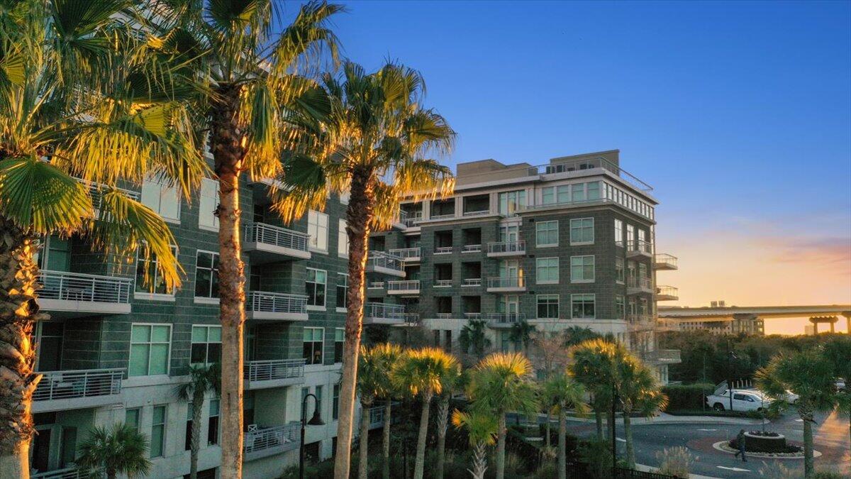 342 Cooper River Drive Mount Pleasant, SC 29464 - Photo 53 of 55 17-DJI_0016