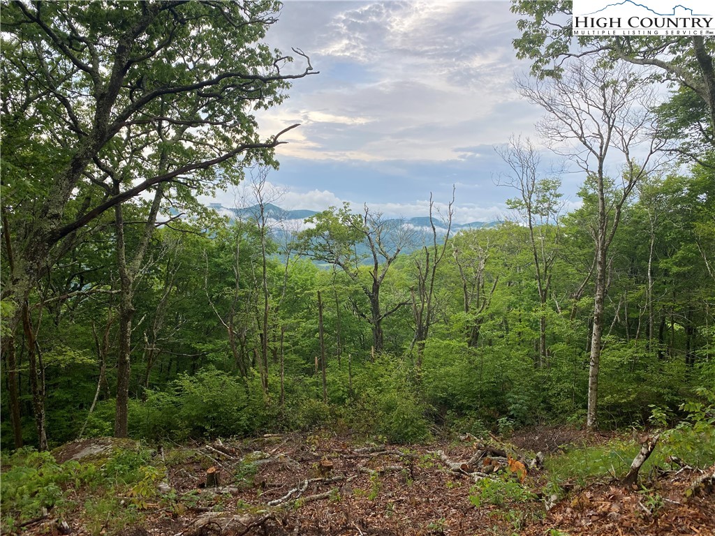 Lot 7 Chappell Farm Road Banner Elk, NC 28604 - Photo 5 of 20 Gallery Image 5