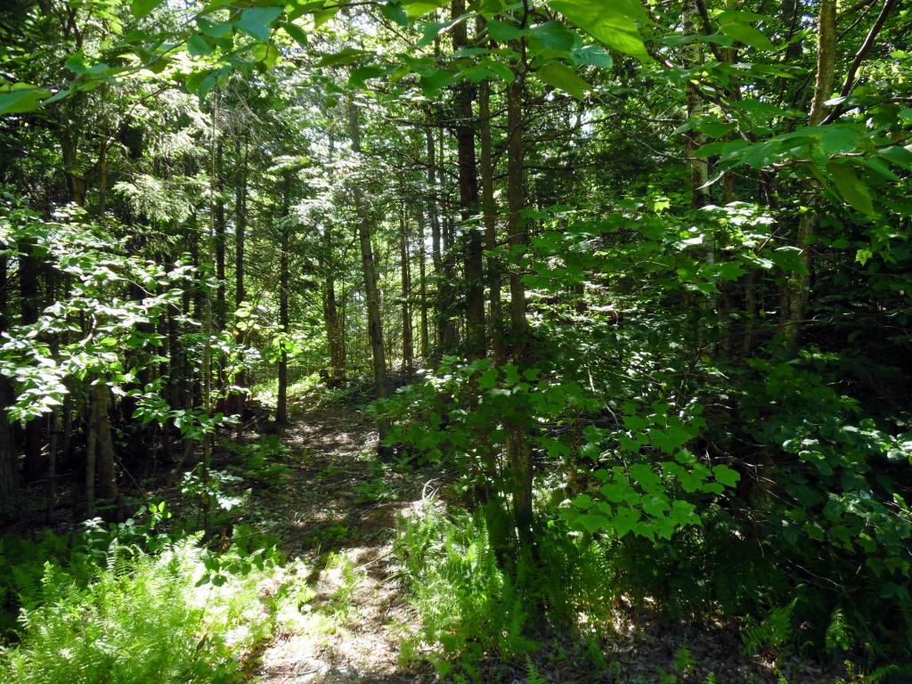 9 Dodge Road Elmore, VT 05680 - Photo 2 of 9