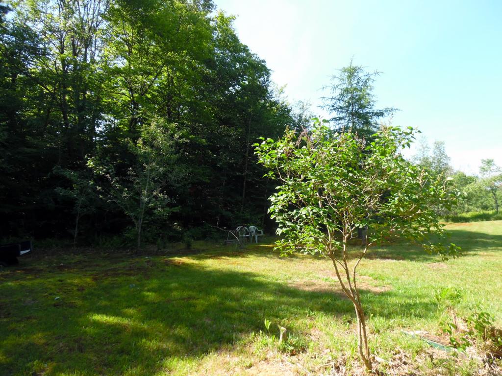 9 Dodge Road Elmore, VT 05680 - Photo 6 of 9