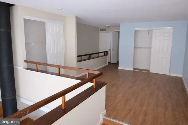 a view of a backyard with plants and large trees