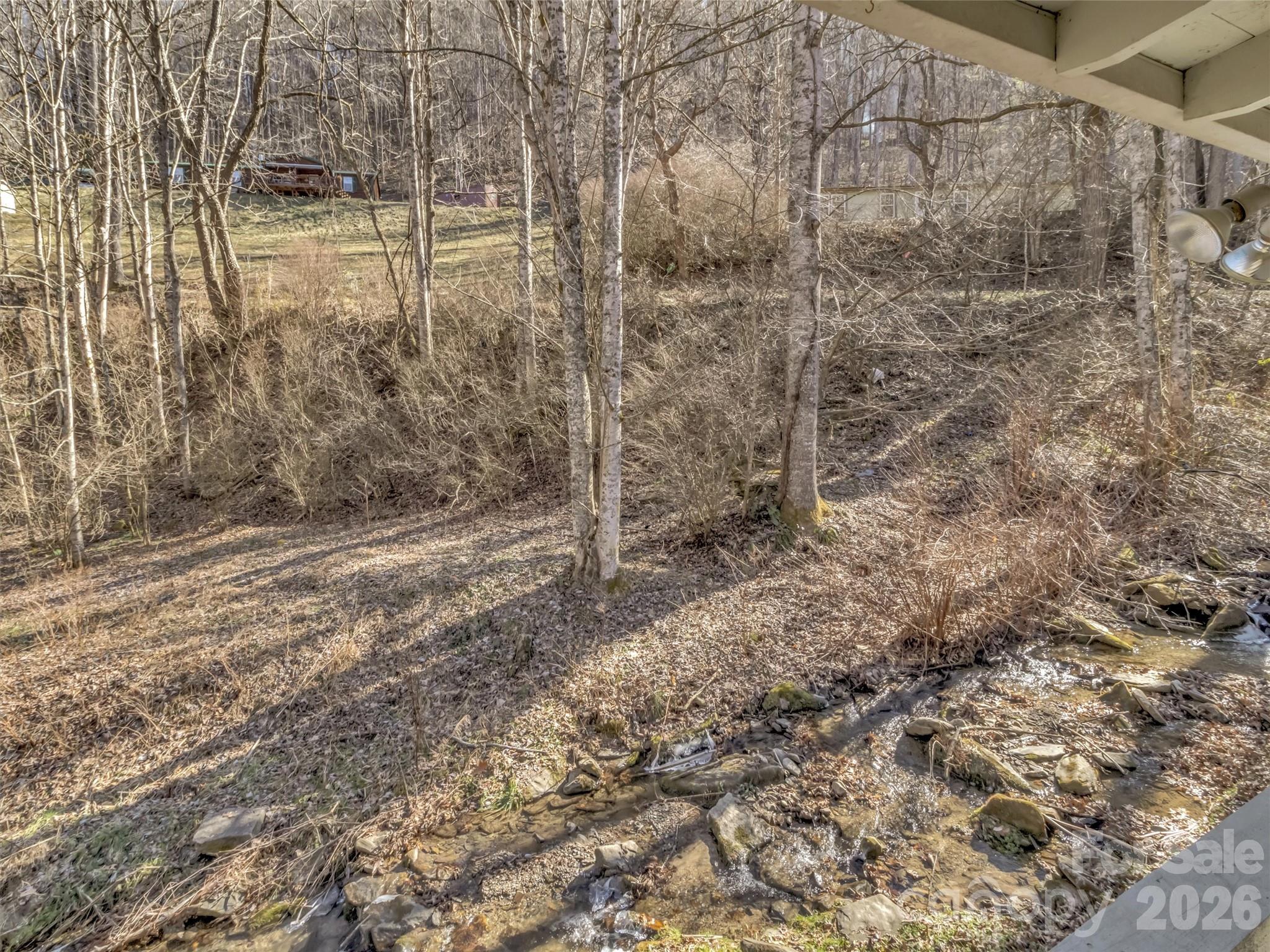 229 Medford Hannah Road Waynesville, NC 28785 - Photo 19 of 34