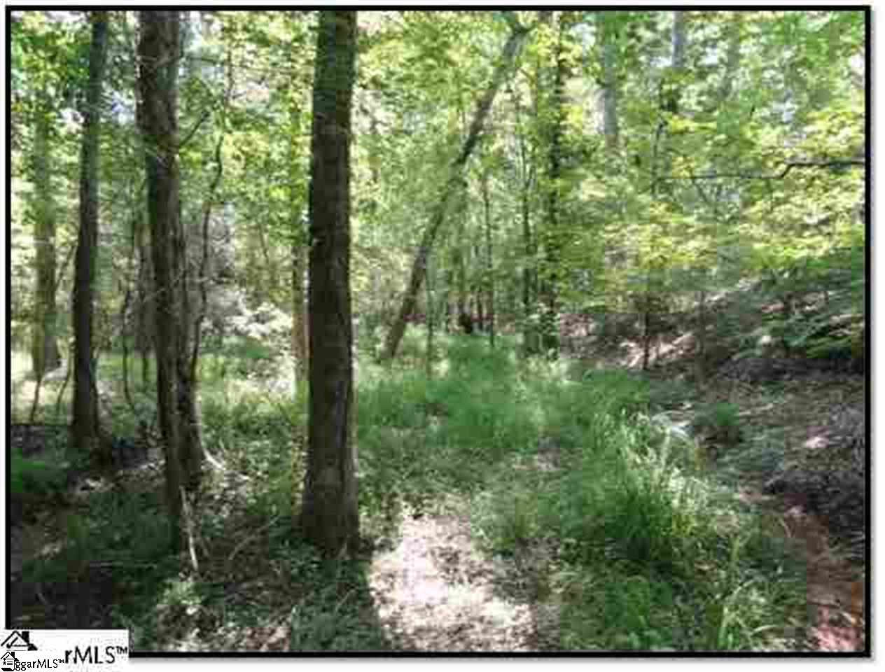 0 Indian Mound Road Waterloo, SC 29384 - Photo 1 of 1