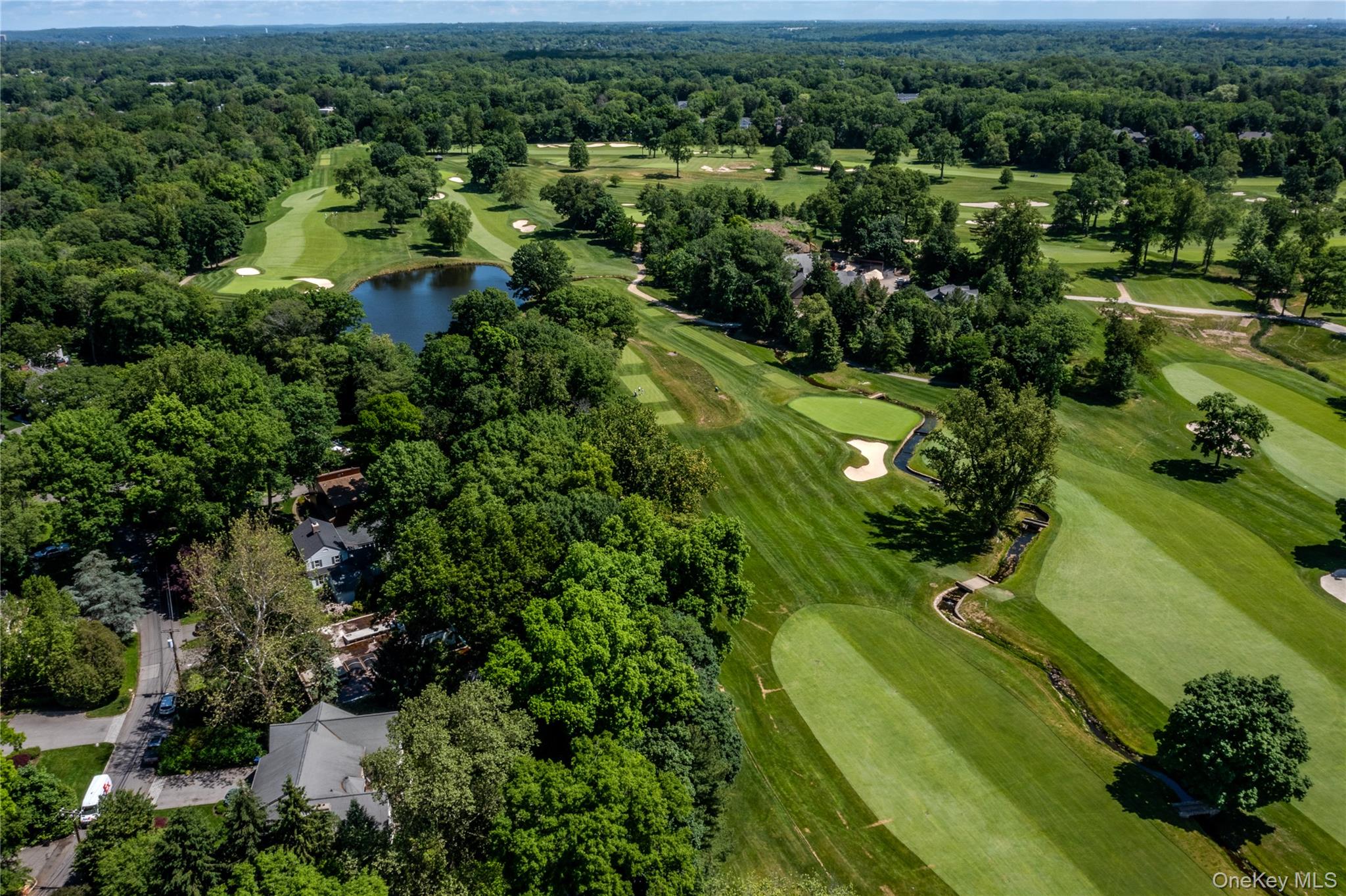 16 Meadow Road Scarsdale, NY 10583 - Photo 46 of 47 an aerial view of residential houses with outdoor space and trees