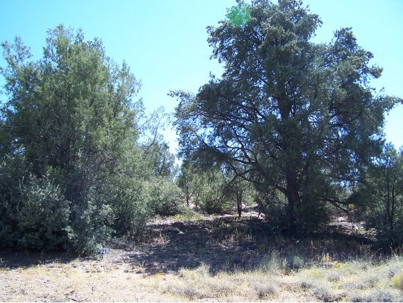 5125 West Almosta Ranch Road Prescott, AZ 86305 - Photo 2 of 3 Additional Photo