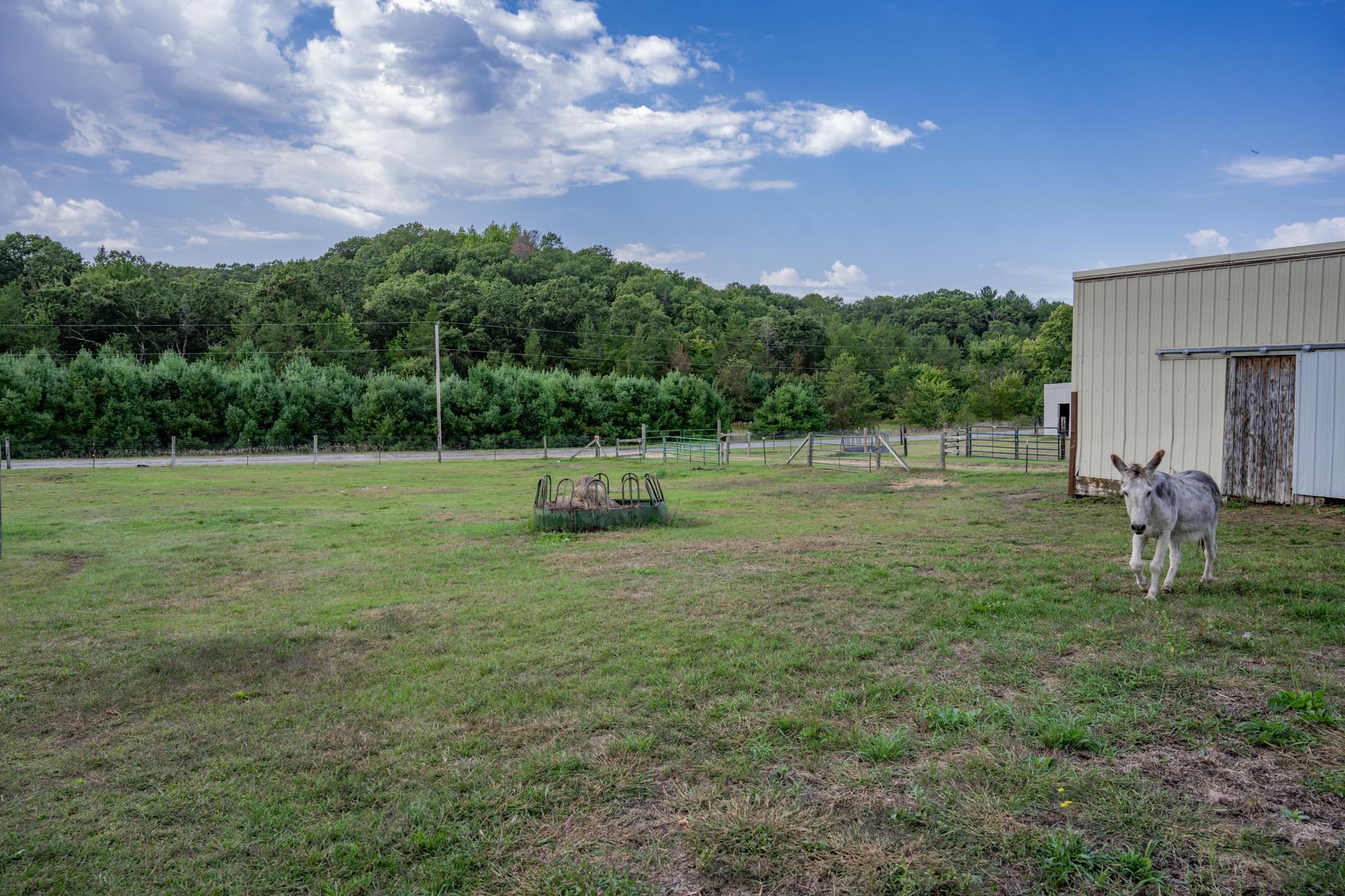 8838 County Road Sparta, WI 54656 - Photo 64 of 74