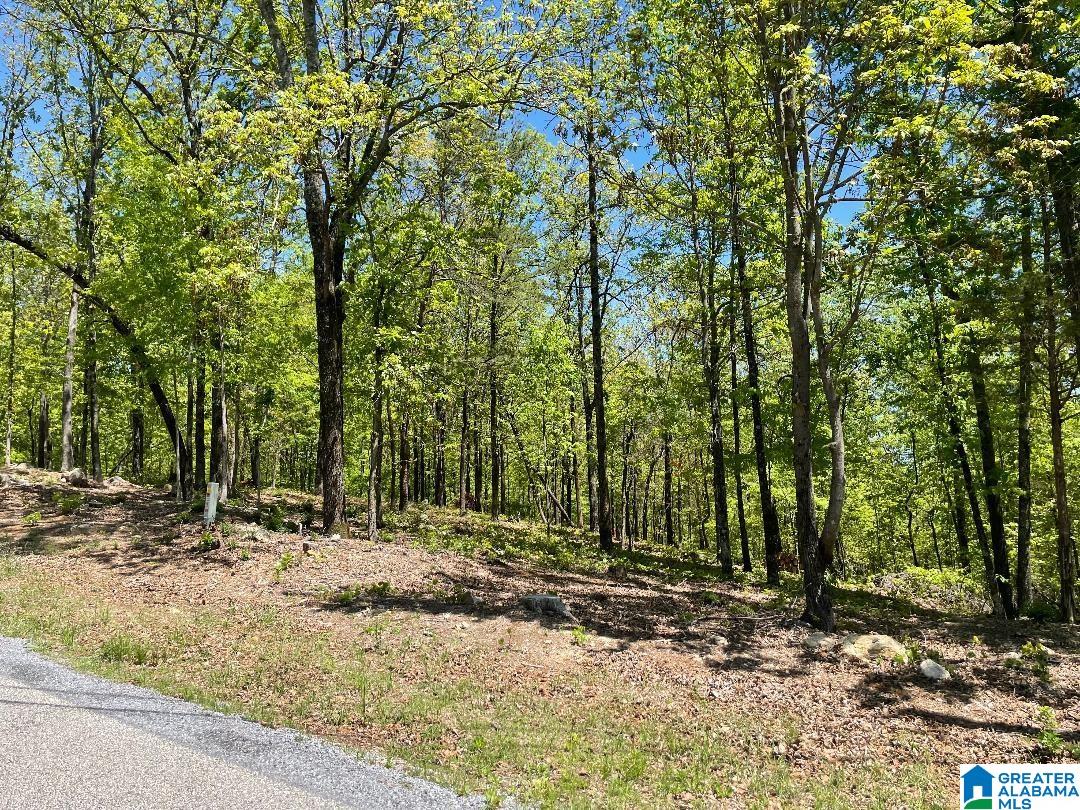 149 New Hope Mountain Road, Unit 1 Birmingham, AL 35242 - Photo 3 of 6