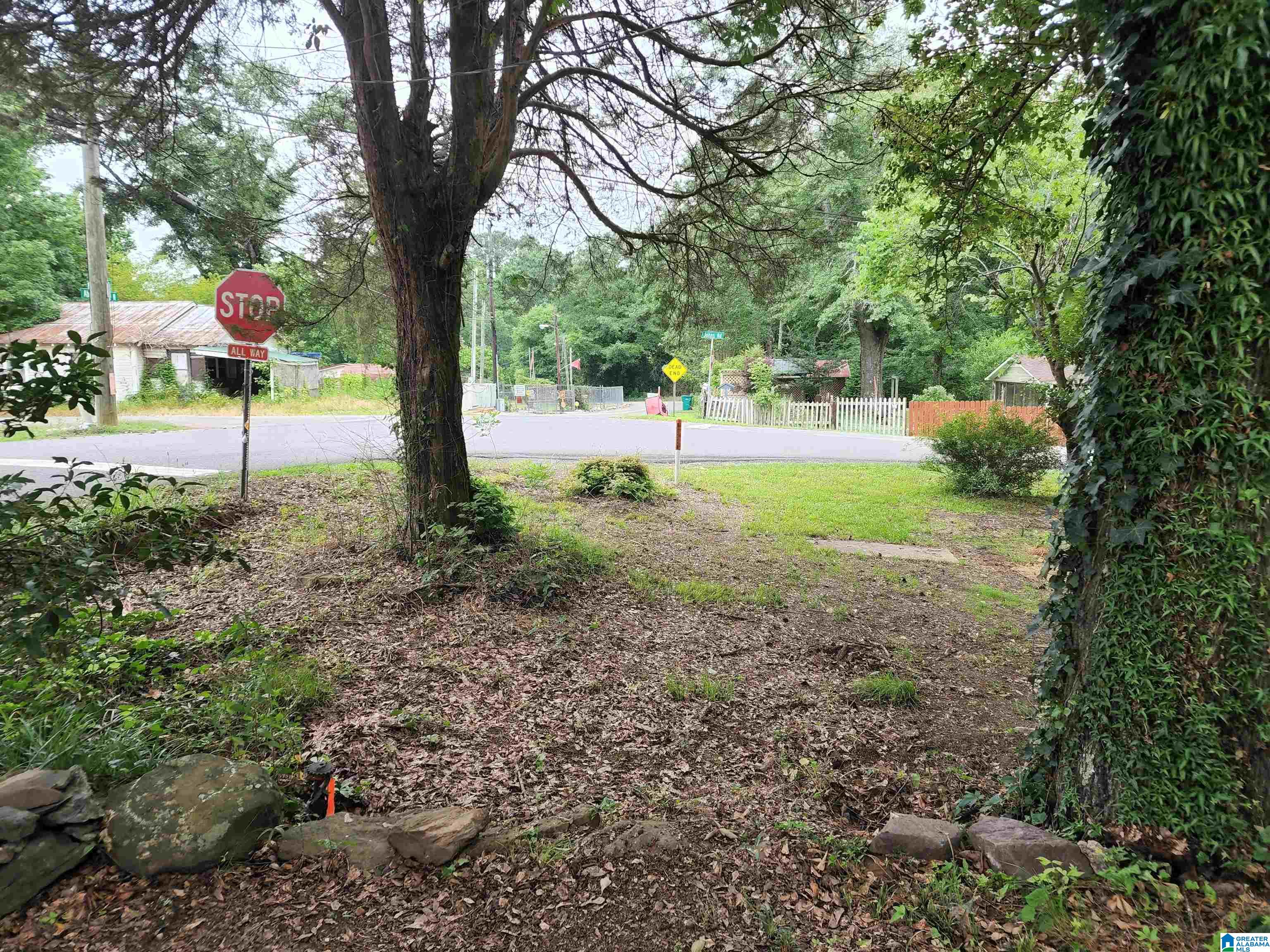 19430 Abernant Loop Vance, AL 35490 - Photo 46 of 49