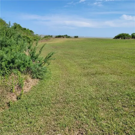 a view of a lush green space