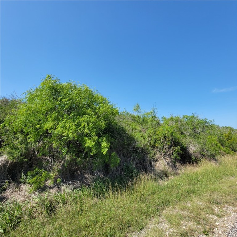 1713 1st Street Bayside, TX 78340 - Photo 12 of 17 a view of a lush green space