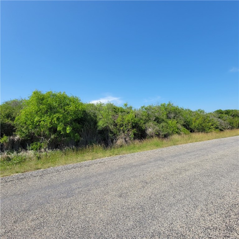 1713 1st Street Bayside, TX 78340 - Photo 15 of 17 a view of an outdoor space and a yard