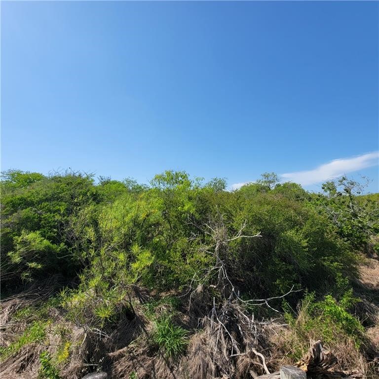 1713 1st Street Bayside, TX 78340 - Photo 16 of 17 a view of a garden