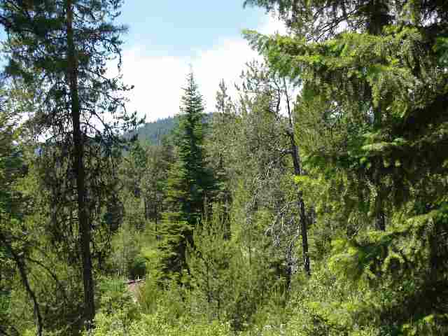 0 Rose Hill Road Springdale, WA 99173 - Photo 1 of 7
