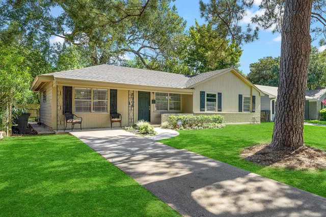 a view of a yard in front of a house with plants and large tree