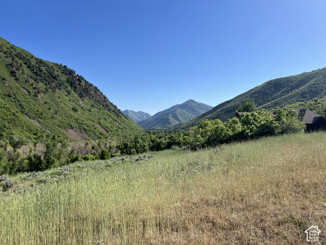 Meadow Drive, Unit 2 Springville, UT 84663 - Photo 6 of 11 Springtime meadow views
