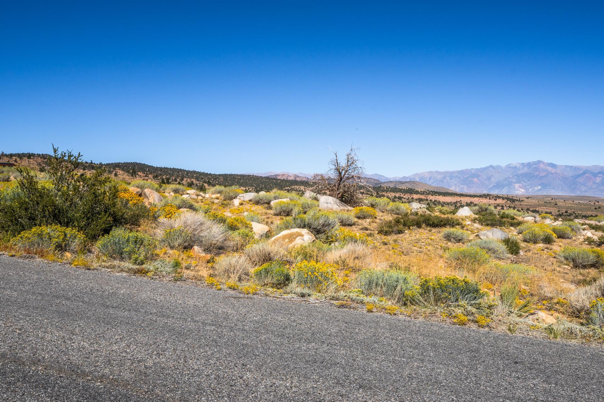 Lot 3 Ridge View Bishop, CA 93514 - Photo 6 of 39