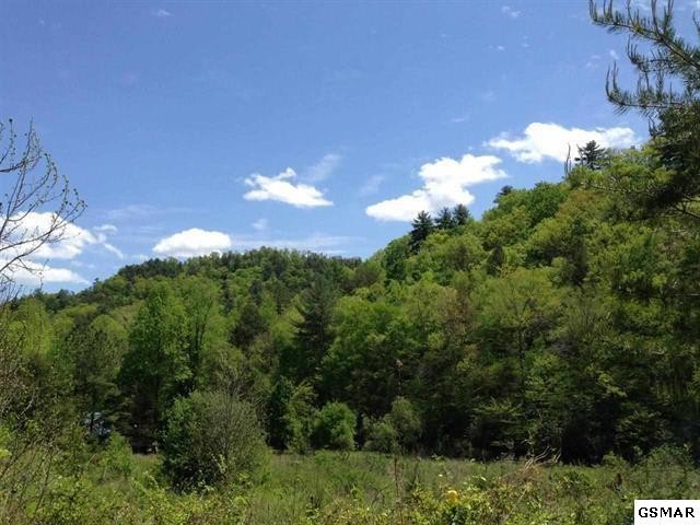 92 Geisz Way Sevierville, TN 37862 - Photo 1 of 6