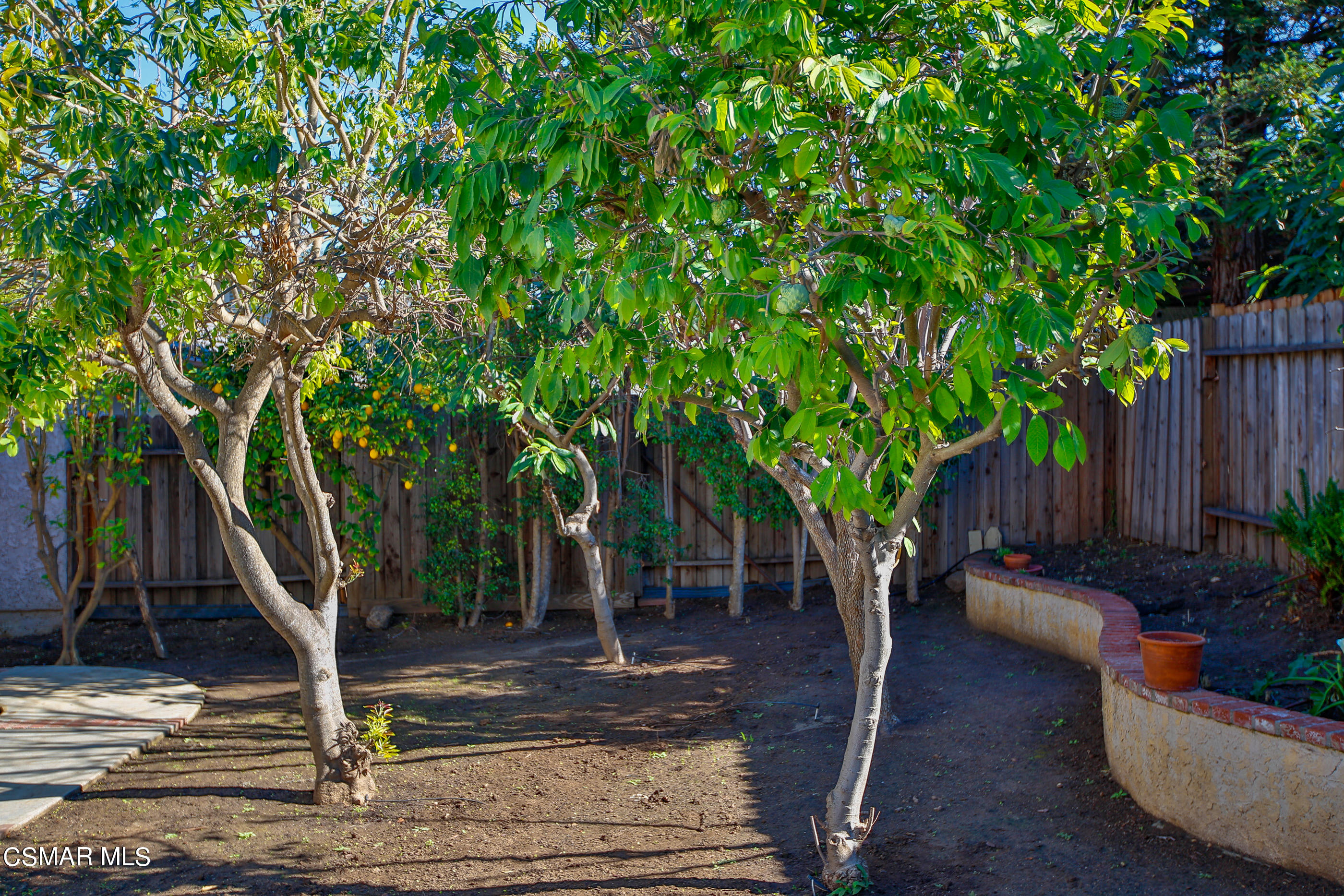 13152 East Millerton Road Moorpark, CA 93021 - Photo 31 of 36 a view of a backyard with trees