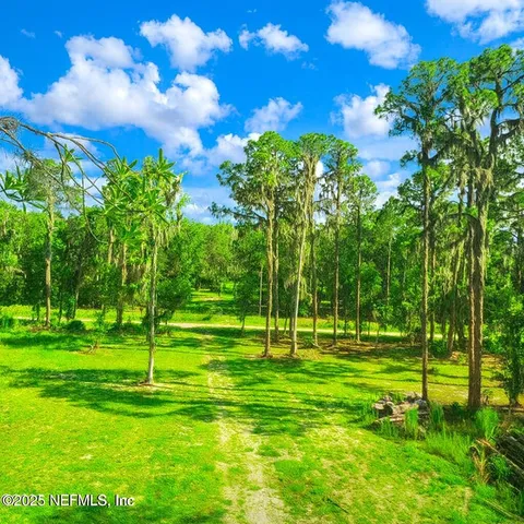 a view of a park with large trees