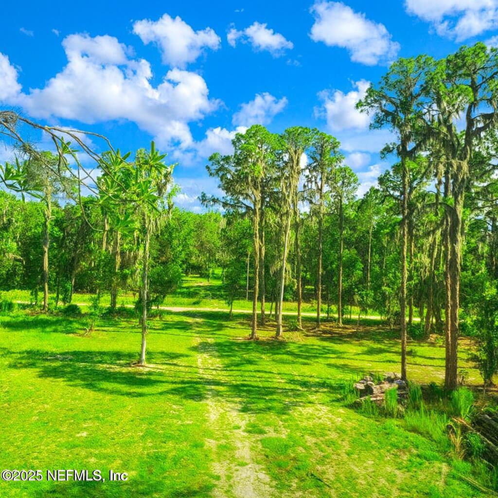 a view of a park with large trees