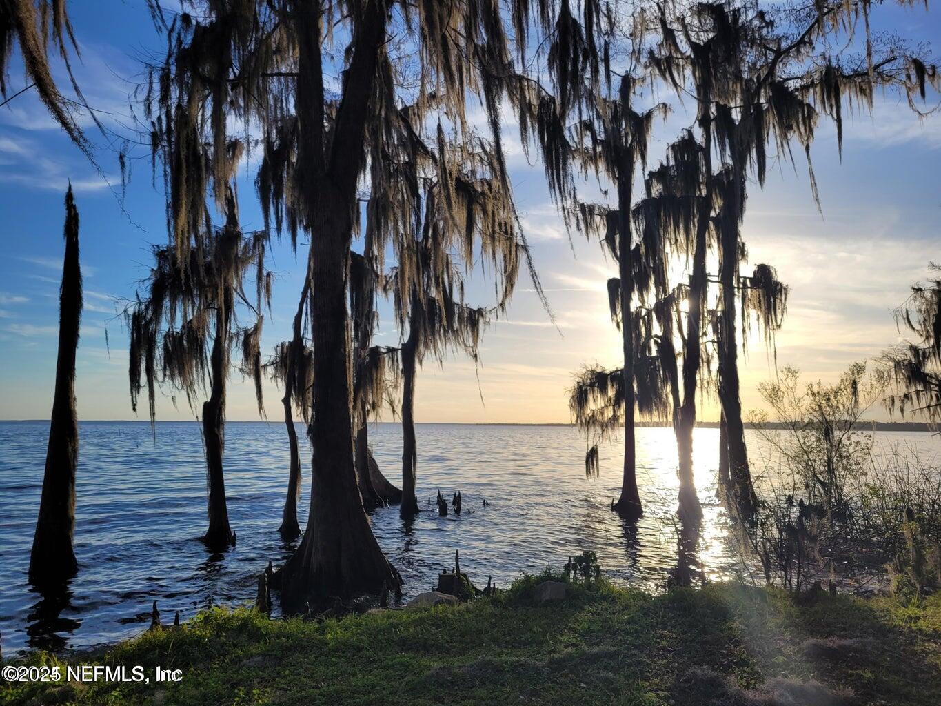 212 Atkins Road Georgetown, FL 32139 - Photo 15 of 20 a view of three trees and swimming pool with a lake view