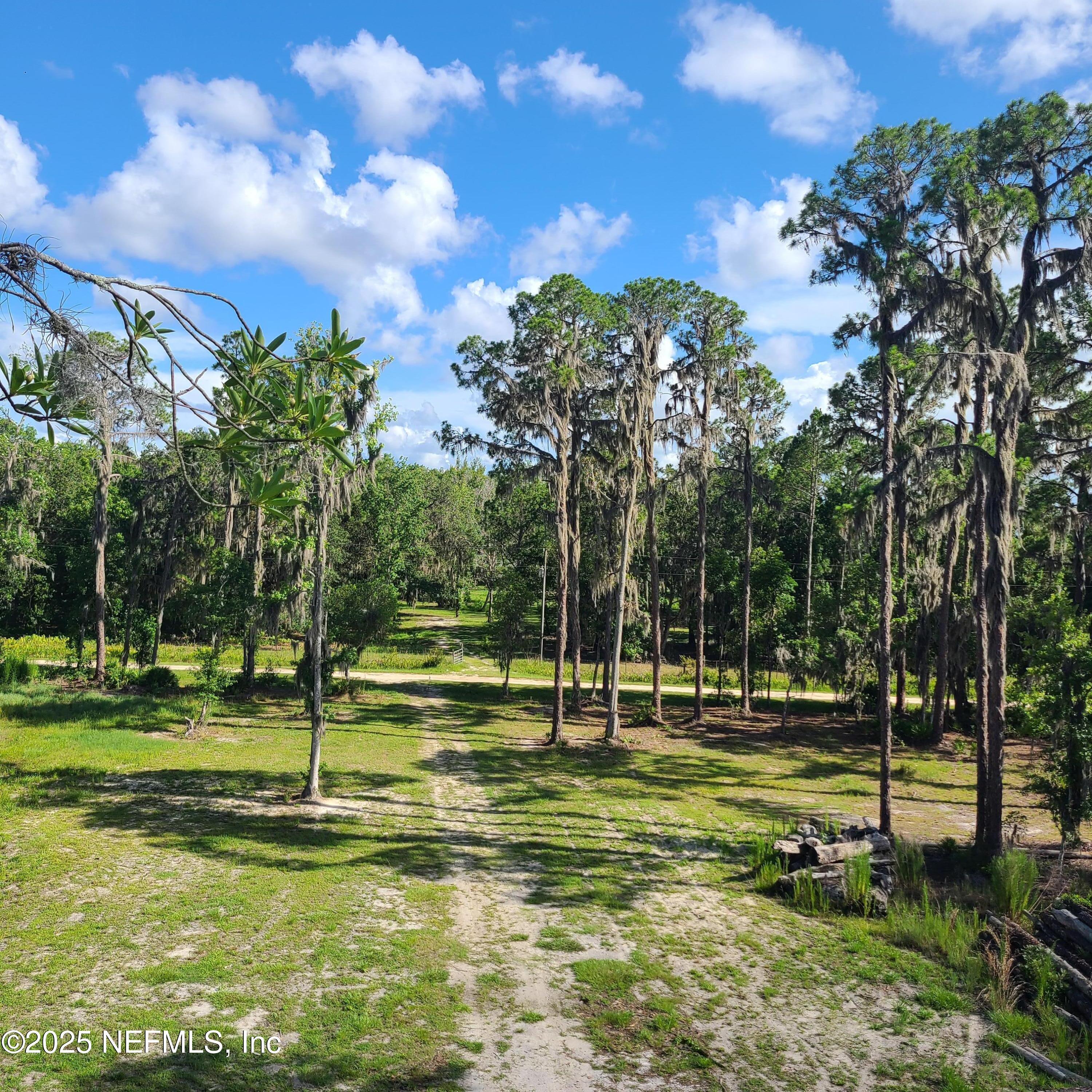 212 Atkins Road Georgetown, FL 32139 - Photo 2 of 20 a view of a park with lots of trees