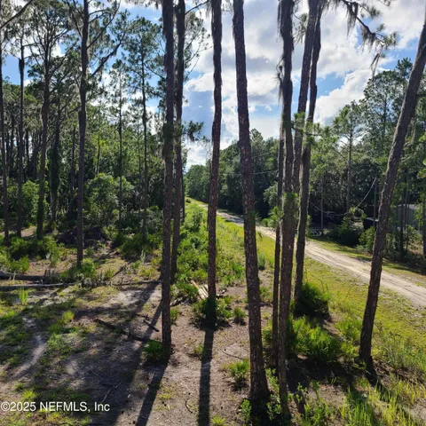a view of swimming pool from a garden