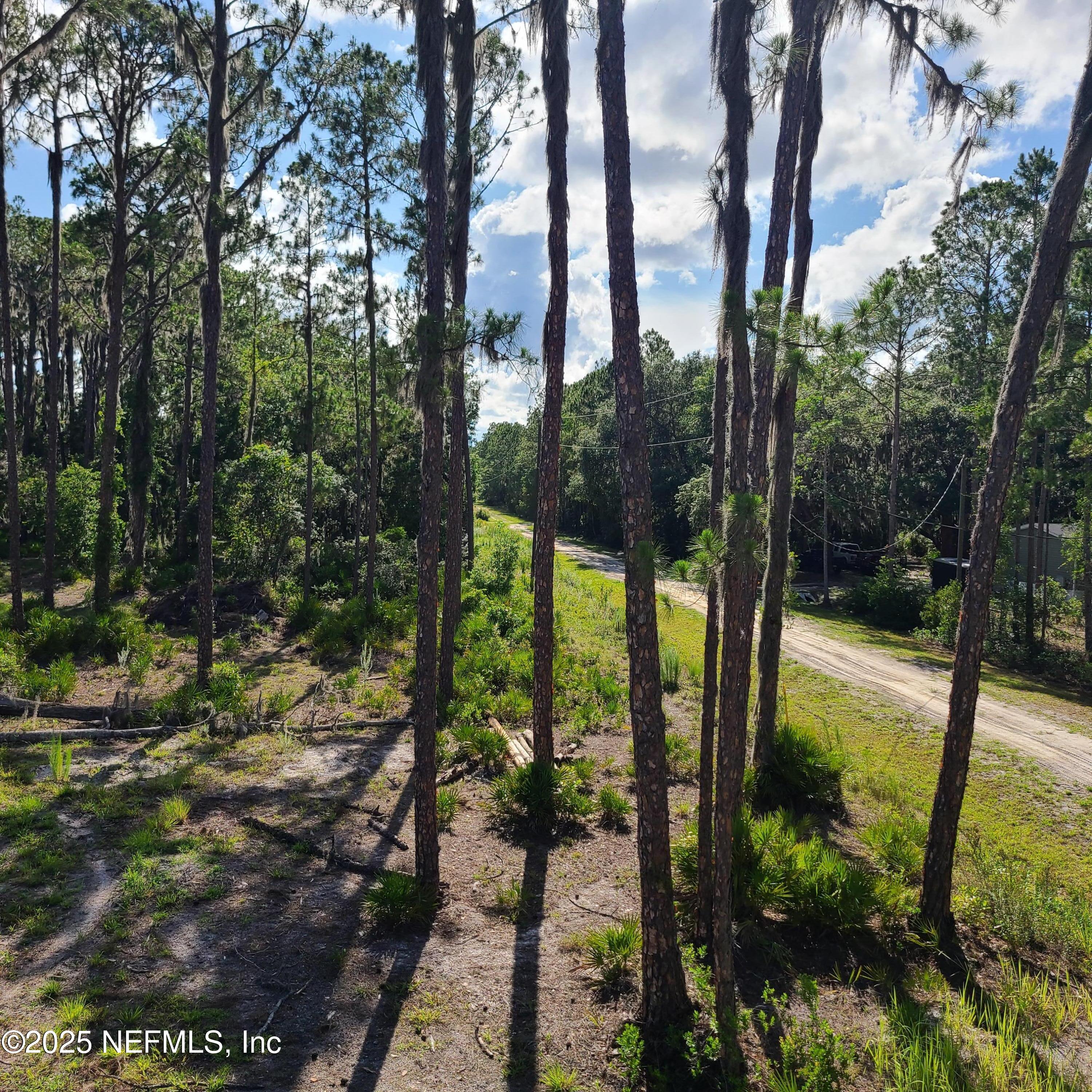 212 Atkins Road Georgetown, FL 32139 - Photo 3 of 20 a view of swimming pool from a garden